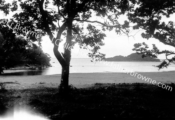 LOUGH CONN ON THE LAKE ALONE NEAR PONTOON